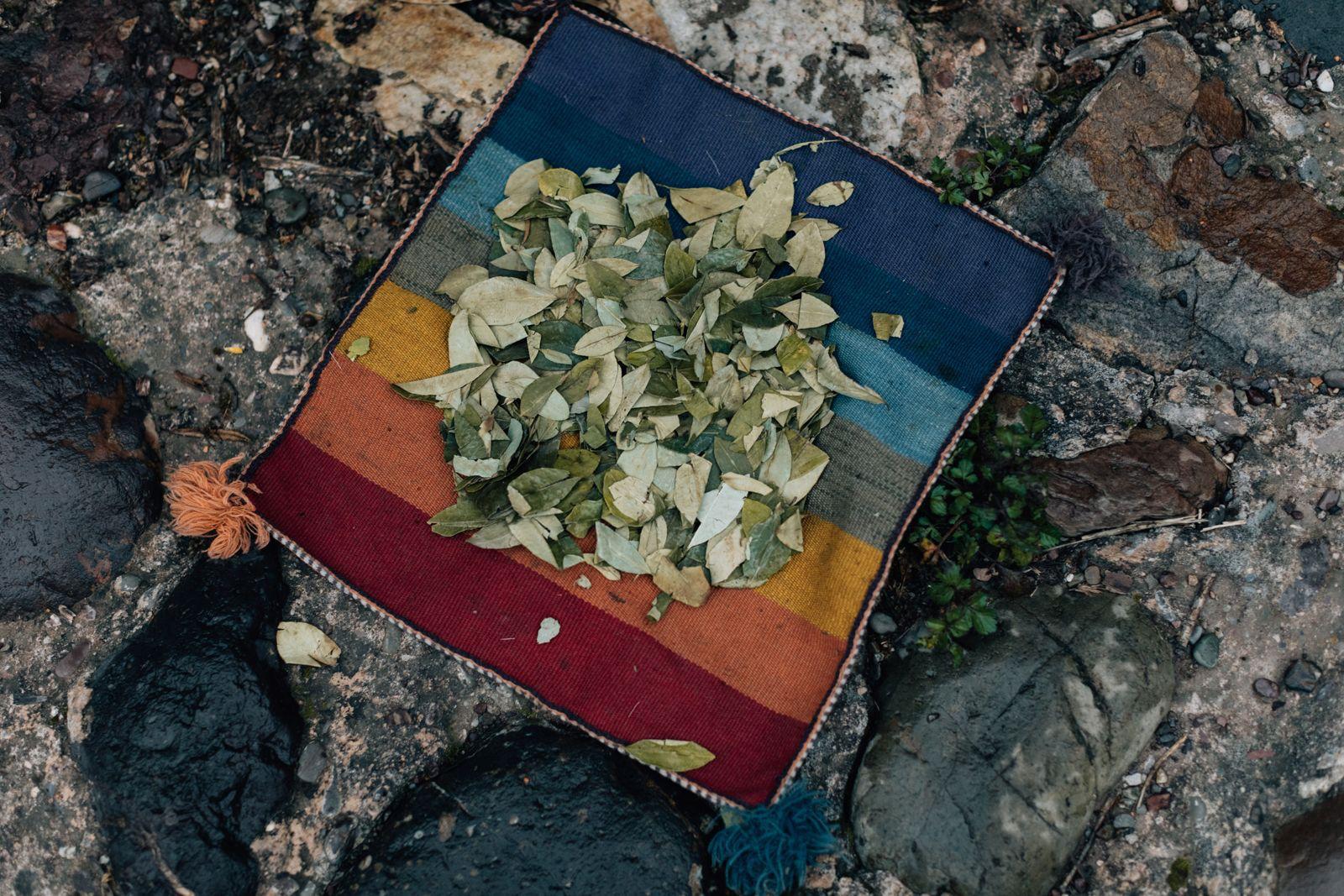 Coca & Ancestral Readings